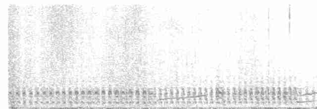 白腰叉尾海燕 - ML464450161