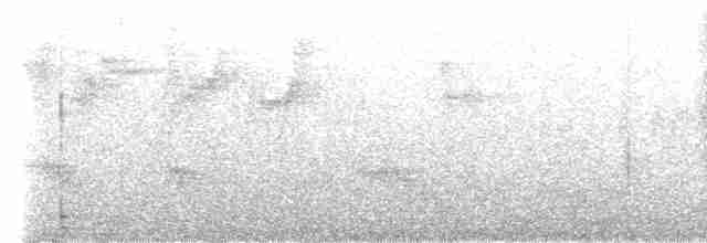 Сейшельская нектарница - ML464489781