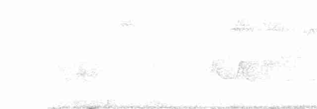 Cerulean Warbler - ML464607441