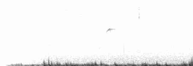 kolibřík blankytohrdlý - ML464619001