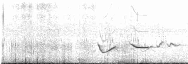 White-tailed Iora - ML464741151