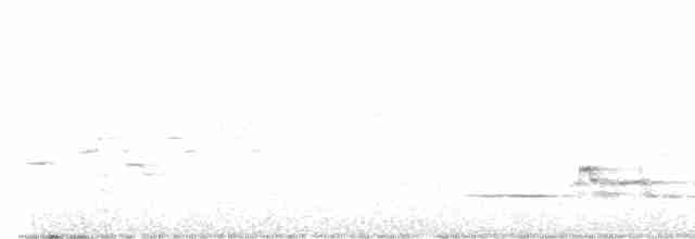Дрізд-короткодзьоб плямистоволий - ML464829391