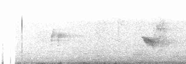Epaulet Oriole (Epaulet) - ML464889531