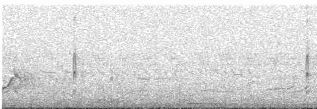Каролинский крапивник - ML464897391