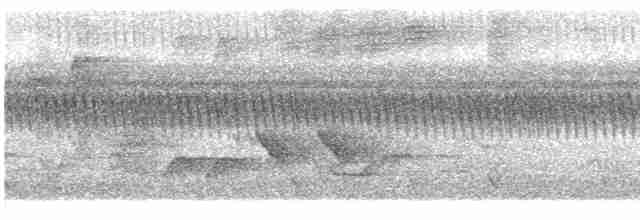 Филиппинский дронго (mirabilis) - ML465009661