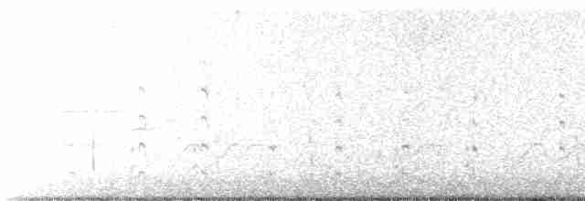 Приморская овсянка-барсучок (maritima/macgillivraii) - ML465090831