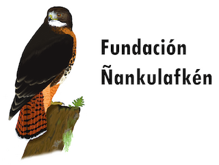 Fundación Ñankulafkén