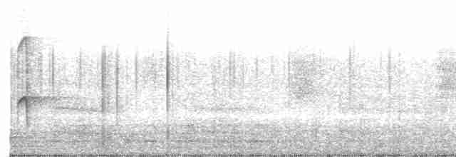 Striped Woodpecker - ML465121671