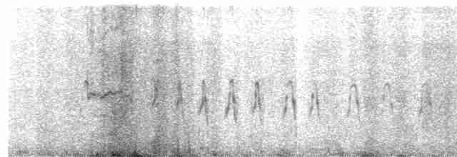 Curve-billed Tinamou - ML465133181