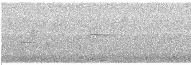 vlhovec červenokřídlý - ML465167521