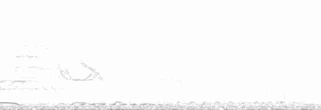 Cichladuse tachetée - ML46517