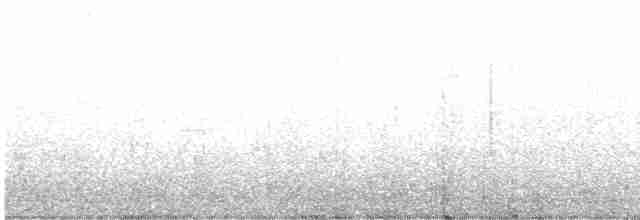 White-eyed Vireo - ML465242181