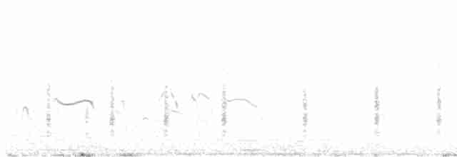 Берестянка пустельна - ML465275491