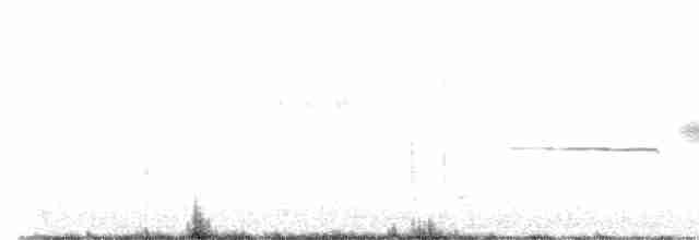 hvitkronespurv - ML465284301