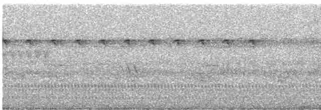 Long-tailed Nightjar - ML465292601