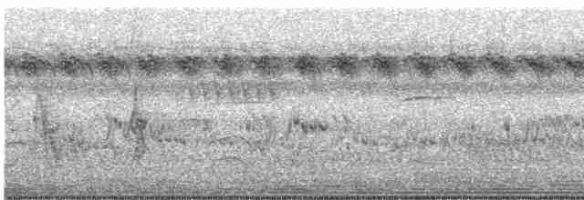 שרקרק לבן-גרון - ML465293351