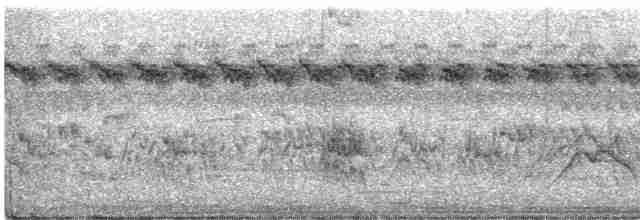 שרקרק לבן-גרון - ML465293711