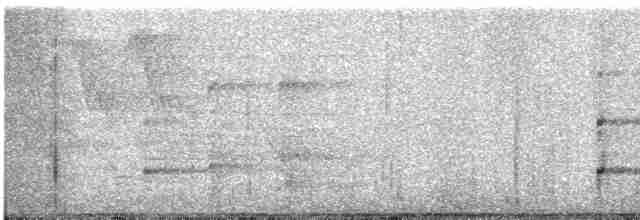 orel bělohlavý - ML465317381