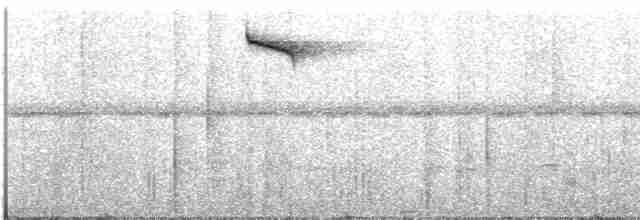 kolibřík lesklobřichý - ML465321931