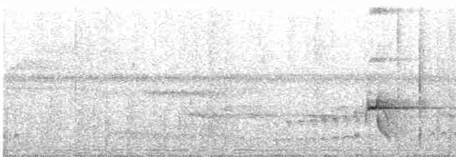 Серый тиранн-плакса - ML465322721