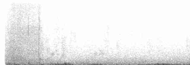 コシジロウミツバメ - ML465329901