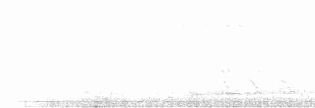 White-throated Kingfisher - ML465357861
