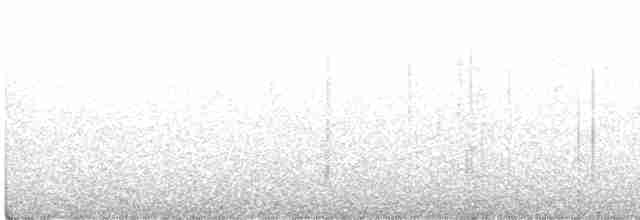 Rufous-and-white Wren - ML465389171