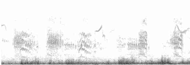 White-winged Tern - ML465526371