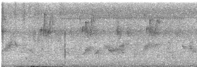 Greenish Warbler (obscuratus) - ML465539831
