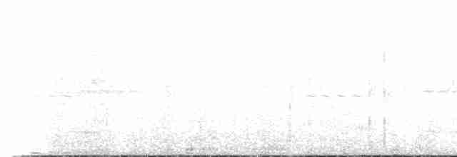 Güneyli Kestanerengi Karıncakuşu - ML465563501