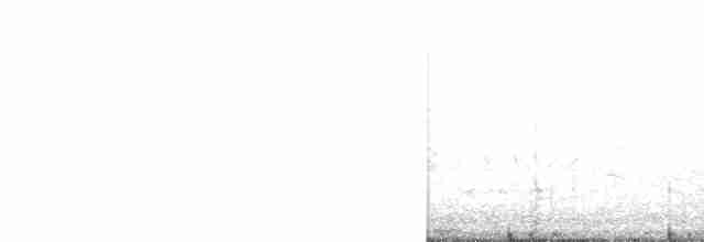 Kısa Gagalı Suçulluğu (griseus) - ML465611381
