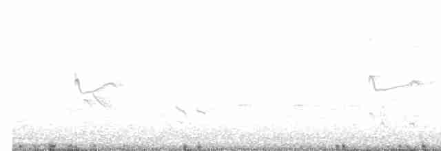 Короткоклювый бекасовидный веретенник (griseus) - ML465611641