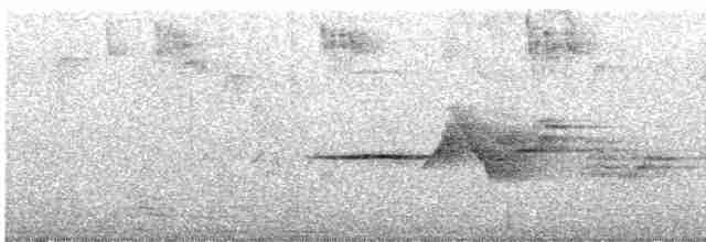 Дрізд-короткодзьоб плямистоволий - ML465687241