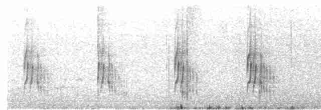 Серогрудый трескунчик - ML465696231