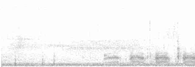 Elegant Trogon (Coppery-tailed) - ML465696531