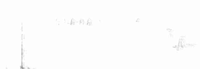 Cerulean Warbler - ML465882171