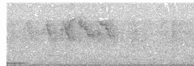 holub venezuelský - ML465901581