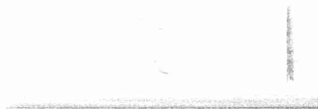 Common Yellowthroat - ML465902701