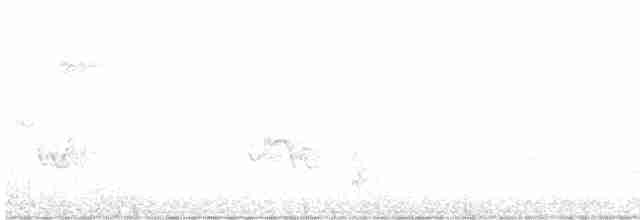 Чернокрылая пиранга - ML465988361