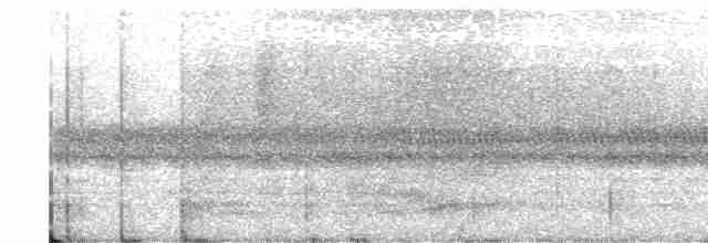 Silky-tailed Nightjar - ML465989081