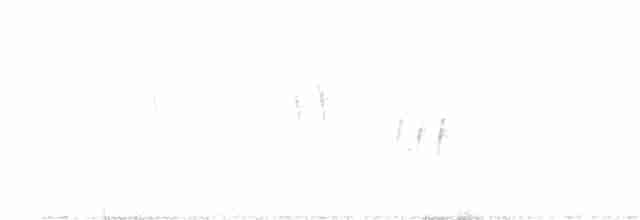 Дубовая/Можжевельниковая гренадерка - ML466082821