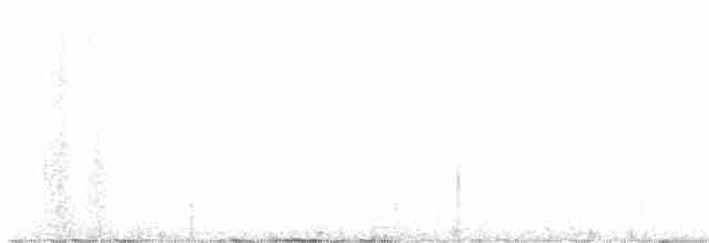 Zino's Petrel - ML466128221