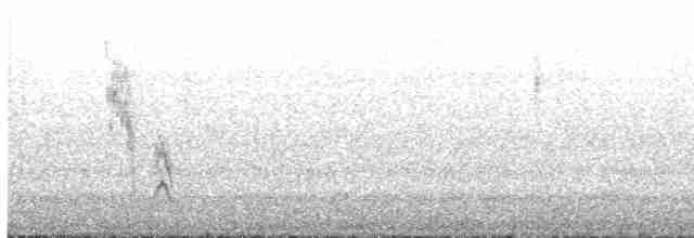 strnadec bělopásý - ML466130451