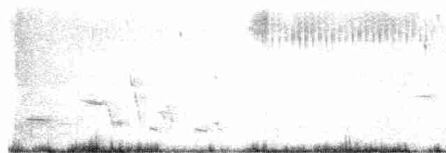 Chingolo de Baird - ML466197711