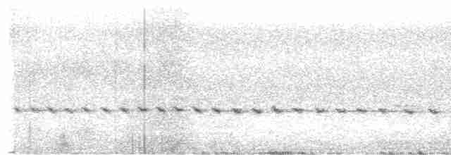hvitstrupehonningeter - ML466213801