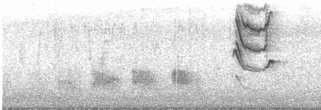Sinsonte Patagón - ML466297521