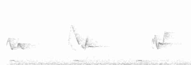 Black-billed Cuckoo - ML466354101