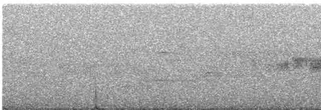 Black-throated Gray Warbler - ML466395331
