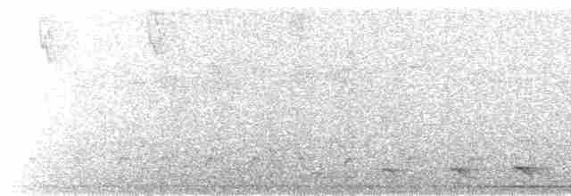 Синешапочный трогон - ML466412121