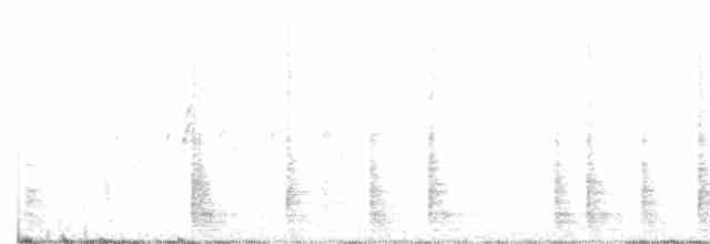 Chihuahuan Meadowlark - ML466468931